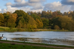 2016-11-05 Hardwick Hall IMG_2532