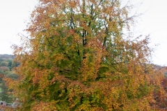 2021-09-11-Lumsdale-and-Chatsworth-with-Mum-IMG_0026a