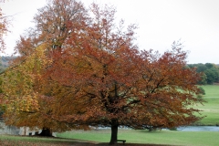 2021-09-11-Lumsdale-and-Chatsworth-with-Mum-IMG_0027a