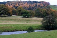 2021-09-11-Lumsdale-and-Chatsworth-with-Mum-IMG_0029a