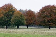2021-09-11-Lumsdale-and-Chatsworth-with-Mum-IMG_0052a