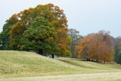 2021-09-11-Lumsdale-and-Chatsworth-with-Mum-IMG_0058a