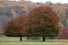 2021-09-11-Lumsdale-and-Chatsworth-with-Mum-IMG_0060a