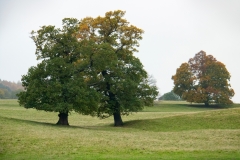 2021-09-11-Lumsdale-and-Chatsworth-with-Mum-IMG_0061a