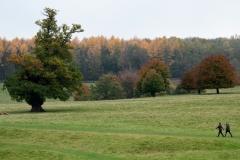 2021-09-11-Lumsdale-and-Chatsworth-with-Mum-IMG_0082a