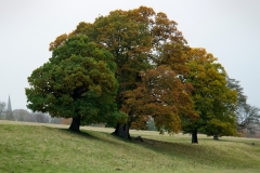2021-09-11-Lumsdale-and-Chatsworth-with-Mum-IMG_0083b