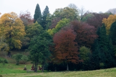 2021-09-11-Lumsdale-and-Chatsworth-with-Mum-IMG_0097a