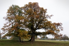 2021-09-11-Lumsdale-and-Chatsworth-with-Mum-IMG_0106a