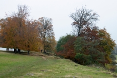 2021-09-11-Lumsdale-and-Chatsworth-with-Mum-IMG_0108a