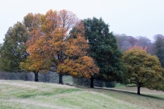 2021-09-11-Lumsdale-and-Chatsworth-with-Mum-IMG_0129a