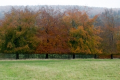 2021-09-11-Lumsdale-and-Chatsworth-with-Mum-IMG_0133a