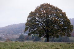 2021-09-11-Lumsdale-and-Chatsworth-with-Mum-IMG_0157a