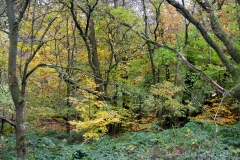 2021-09-11-Lumsdale-and-Chatsworth-with-Mum-IMG_0002a