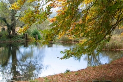 2021-09-11-Lumsdale-and-Chatsworth-with-Mum-IMG_0007a